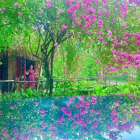 Maison Teahouse Homestay Hà Giang Zewnętrze zdjęcie