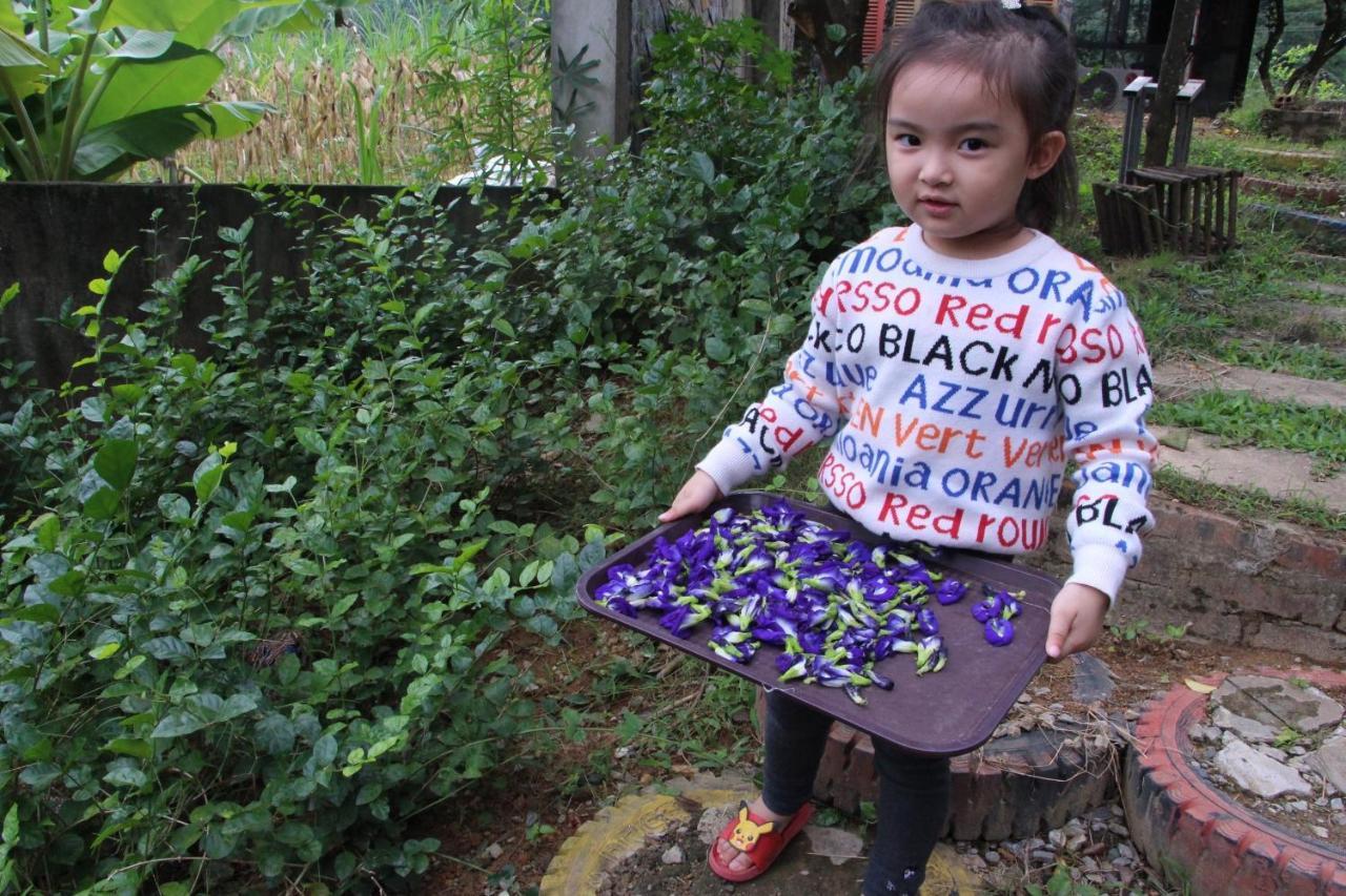 Maison Teahouse Homestay Hà Giang Zewnętrze zdjęcie