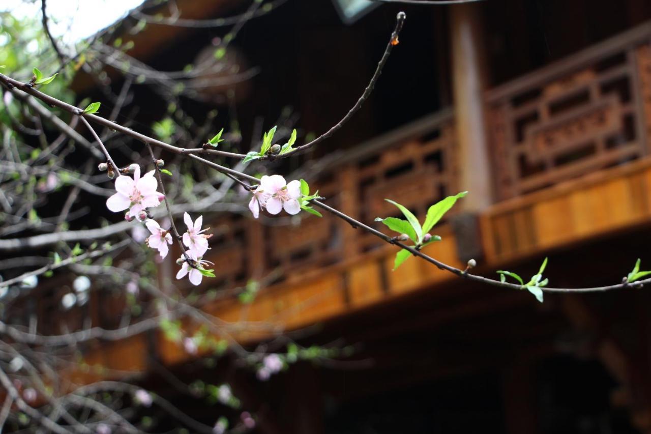 Maison Teahouse Homestay Hà Giang Zewnętrze zdjęcie