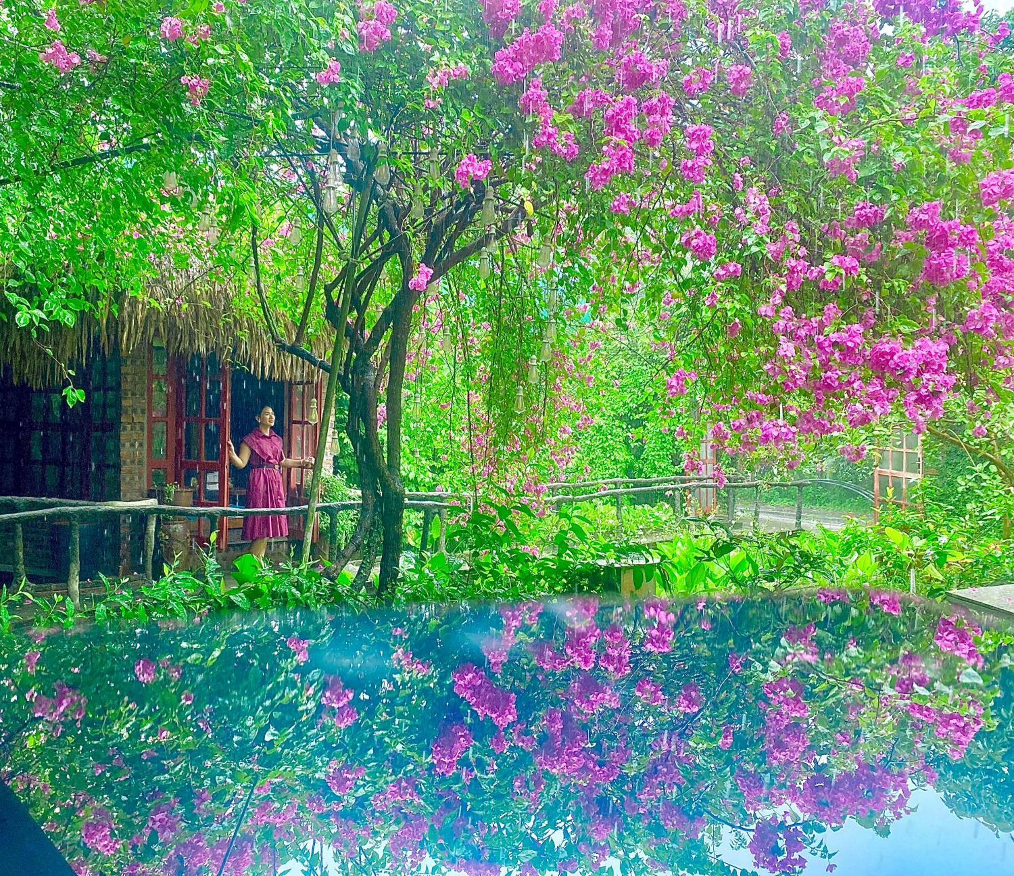 Maison Teahouse Homestay Hà Giang Zewnętrze zdjęcie